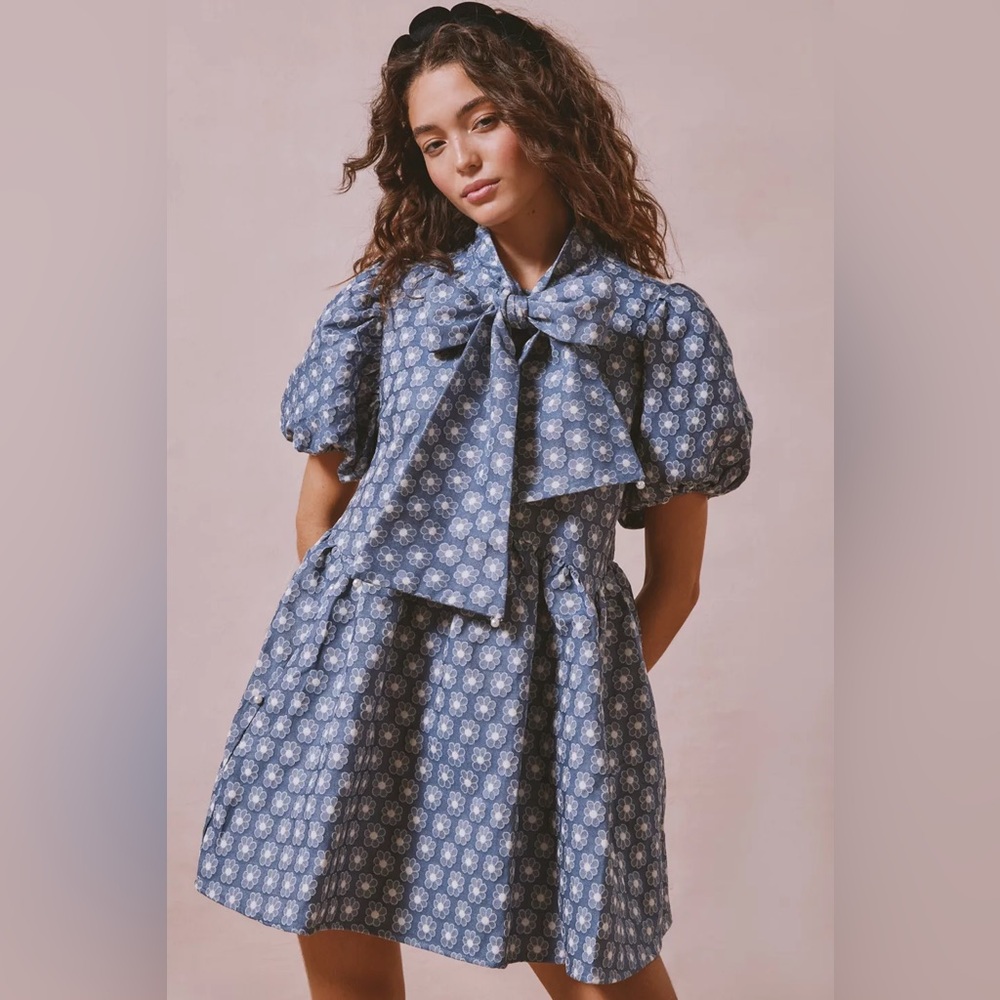 Sister Jane Daisy Denim Mini Dress